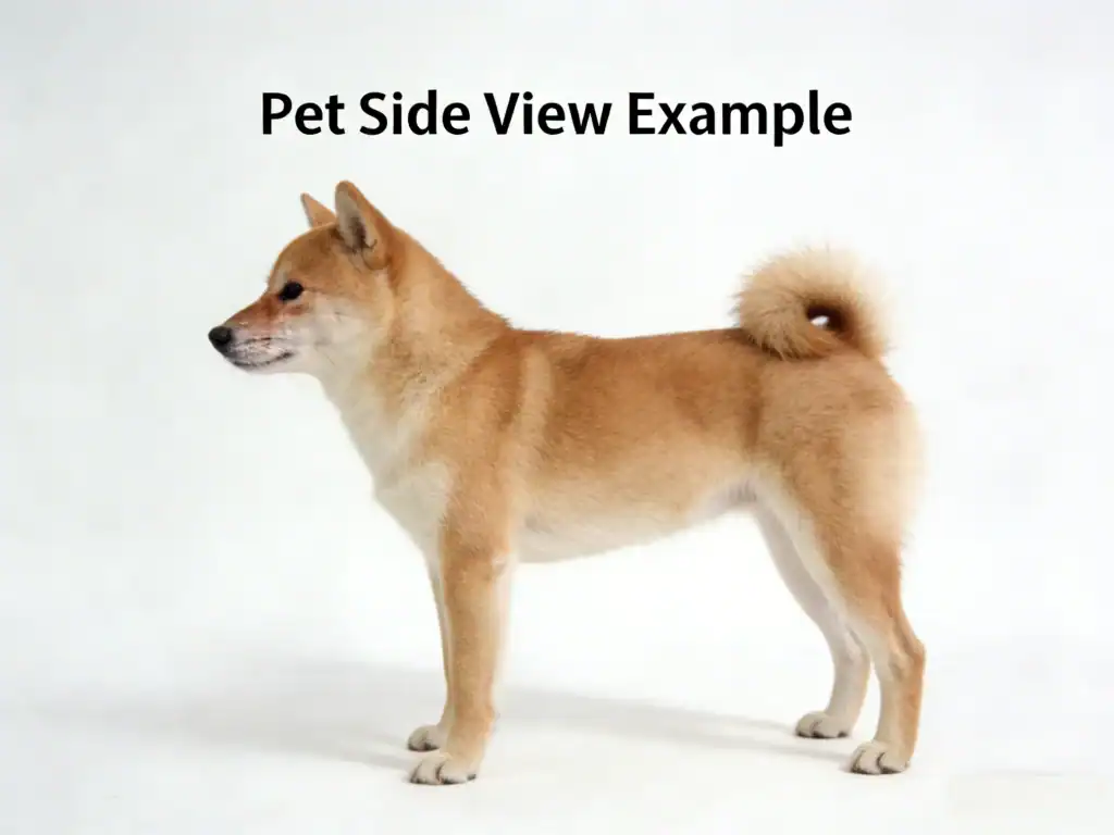 Photo Guide side view example